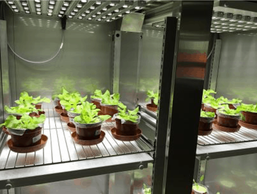 PLANT GROWTH RESEARCH ‘REACH-IN’ ENVIRONMENTAL CHAMBER