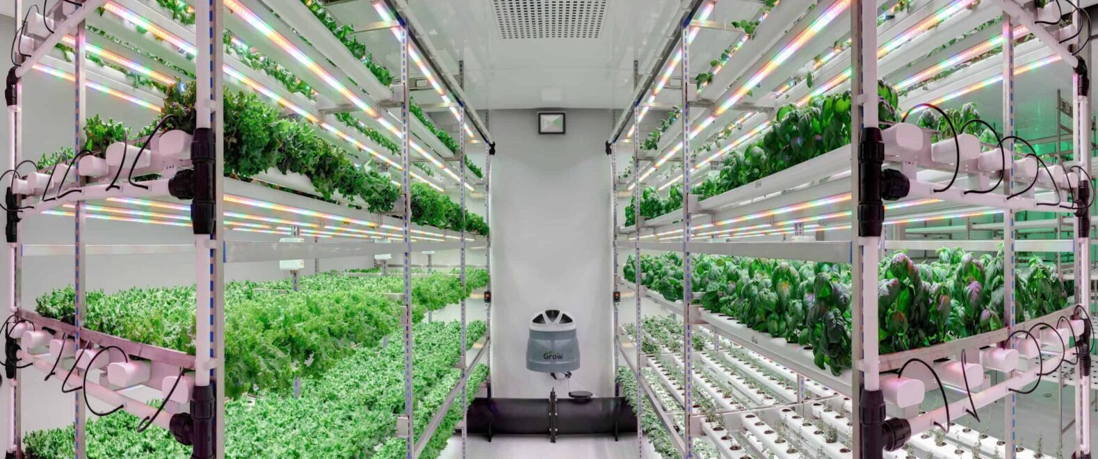 Clitec-umweltsimulation-Aralab-turnkey-installation-Plant-Factory-Controlled-Environment-Agriculture-rooms-3-